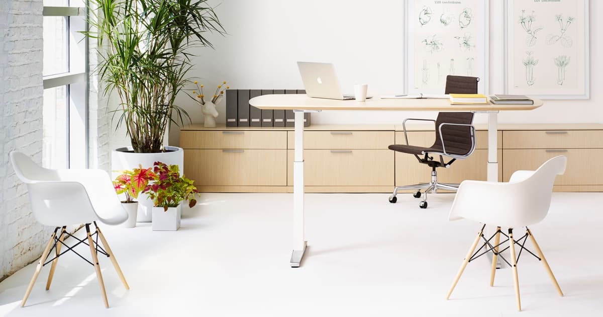 Renew Sit-to-Stand