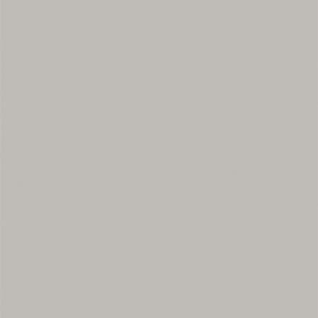 Zen Gray laminate finish chip — Enwork standard (Formica 9243-58)