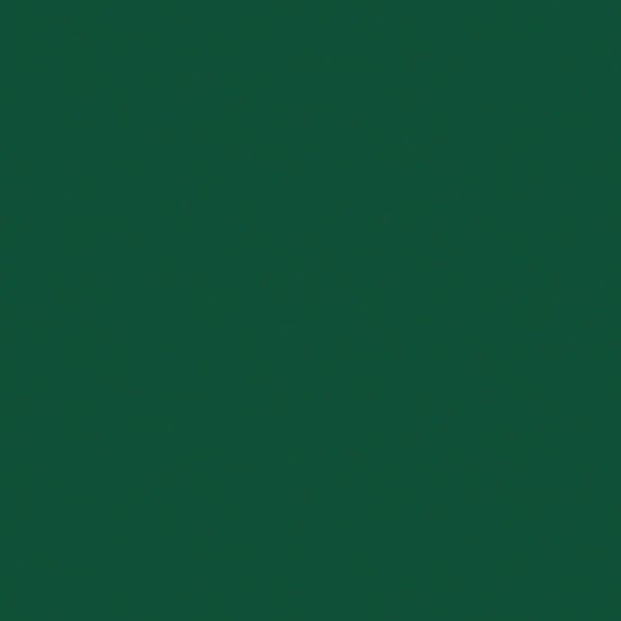Hunter Green laminate finish chip — Wilsonart (D79)